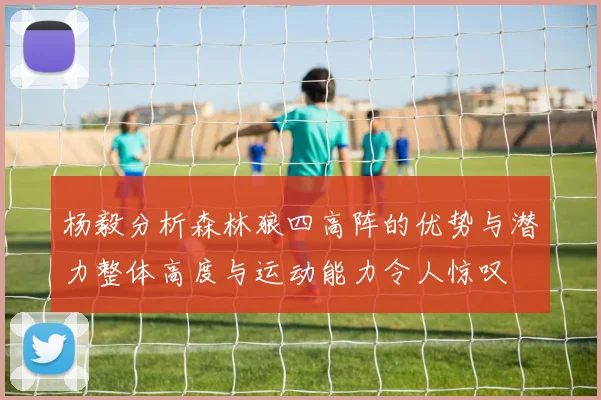 杨毅分析森林狼四高阵的优势与潜力整体高度与运动能力令人惊叹